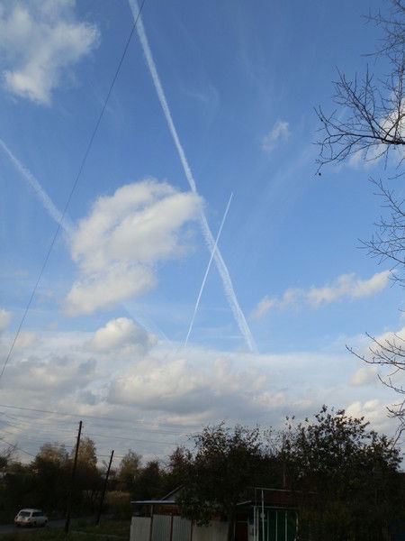 Елена Исаева