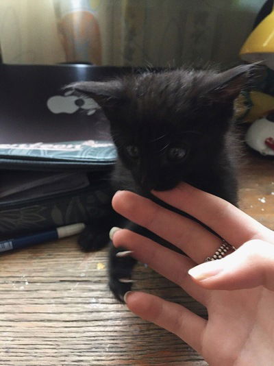 Марина Мальсагова