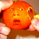 Дмитрий Корсак