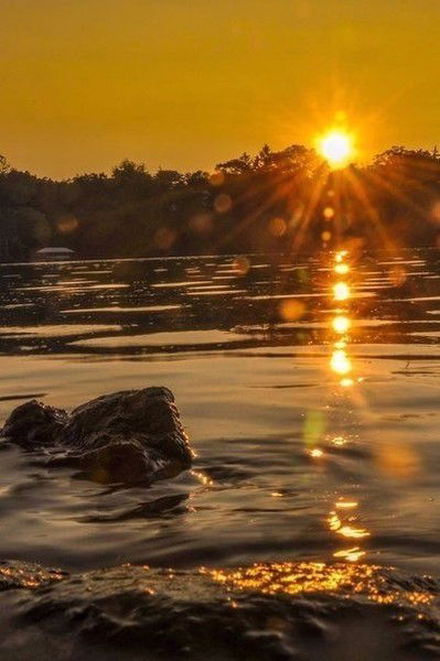 Владимир Фомичев