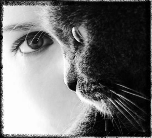 Лаура Бьяджотти