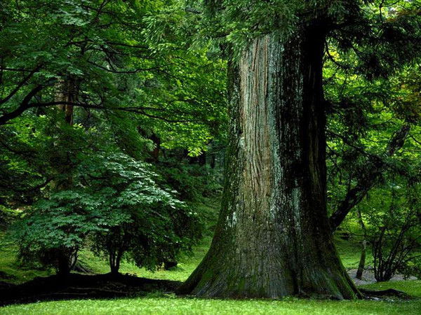 Баян Байсунова