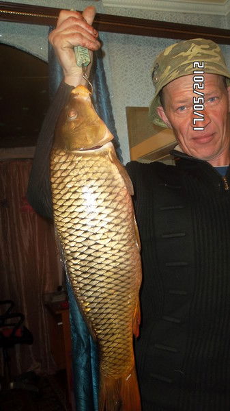 Ляшков Дмитрий