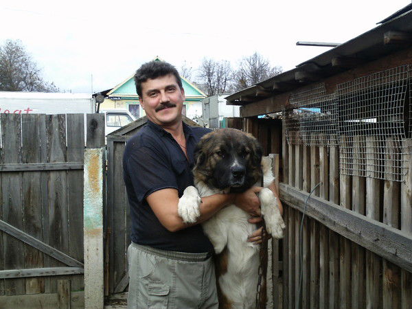 Сергей Крутавцев