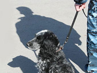 Марина Верхозина