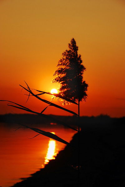 Михаил Чубаков