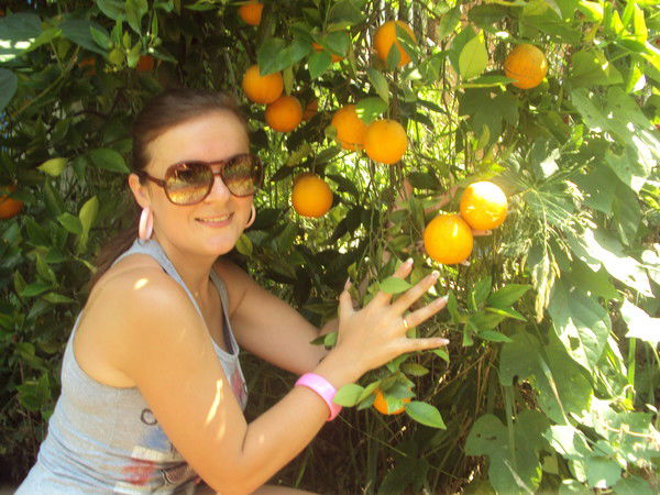 Светик Бабич