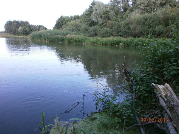 Александр Мандрик