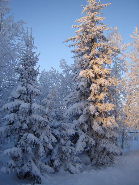 Сюнайсалинская Школа