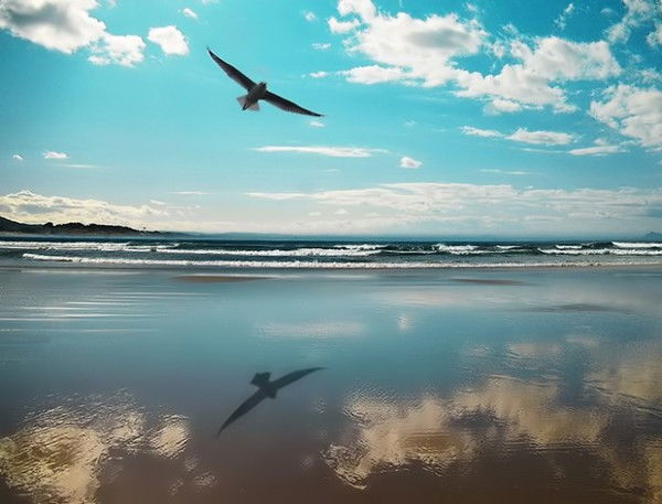 Владимир Кутенков