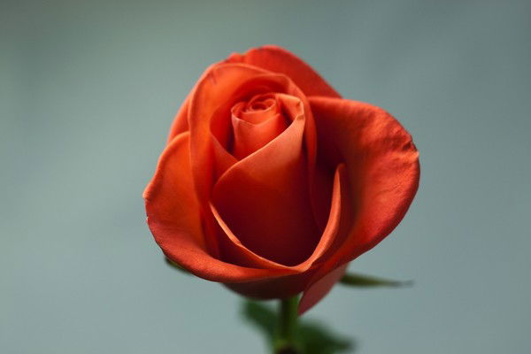 Зауре Рахимжанова