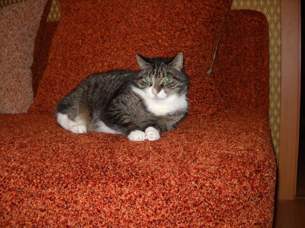 Венера Абузова