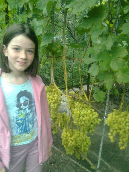 Лиза Федотова