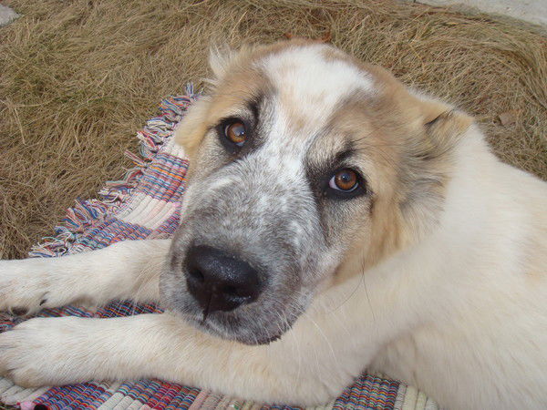 Ольга Фёдорова