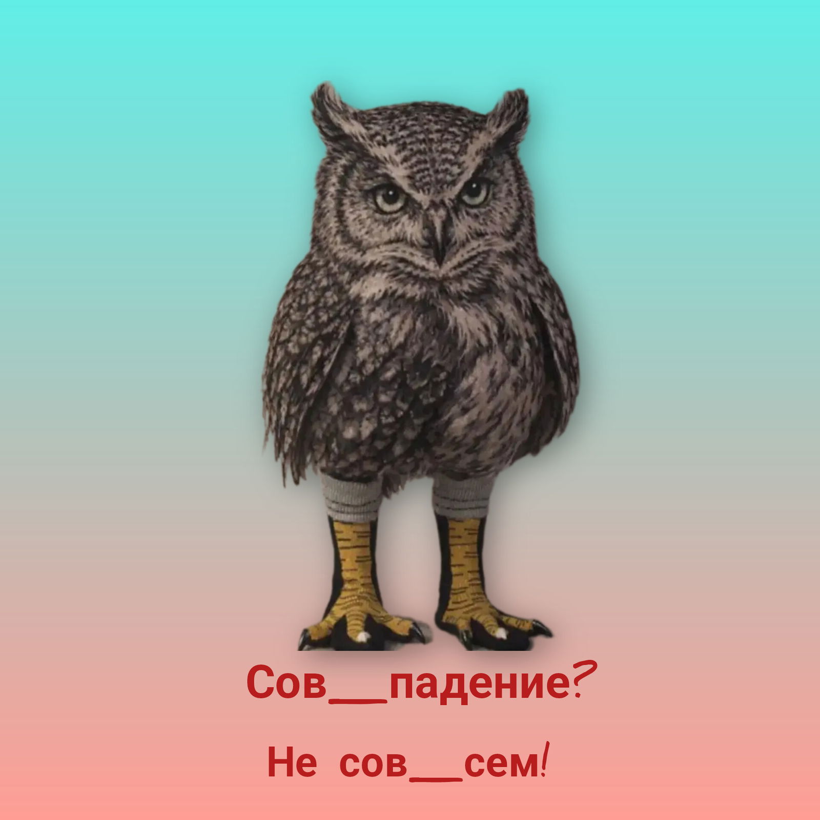 Случайное Сов_Падение