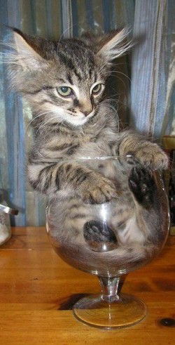 Николай Колнер