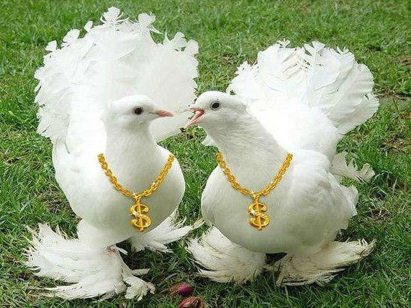 Віталія Данілова