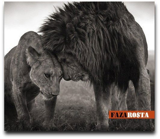 Андрей Алексеев