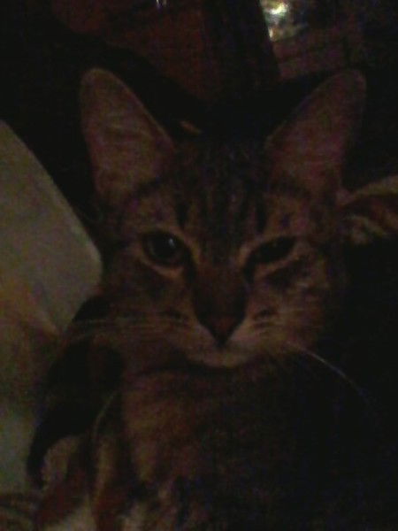 Юлия Юрасова