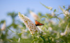 Татьяна Лобажевич