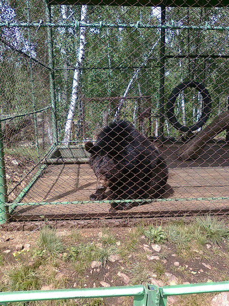 Алексей Курденков