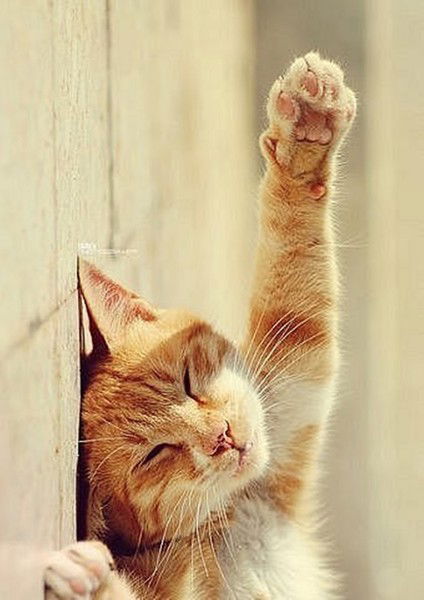 Е К А Т Е Р И Н А