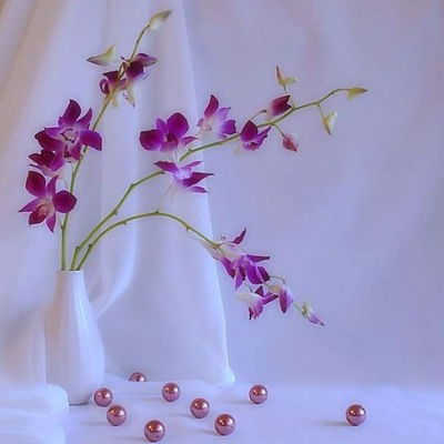 Вера Хромченко