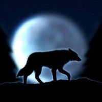 Анна Шавалеева