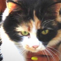 Настюнька Минаева