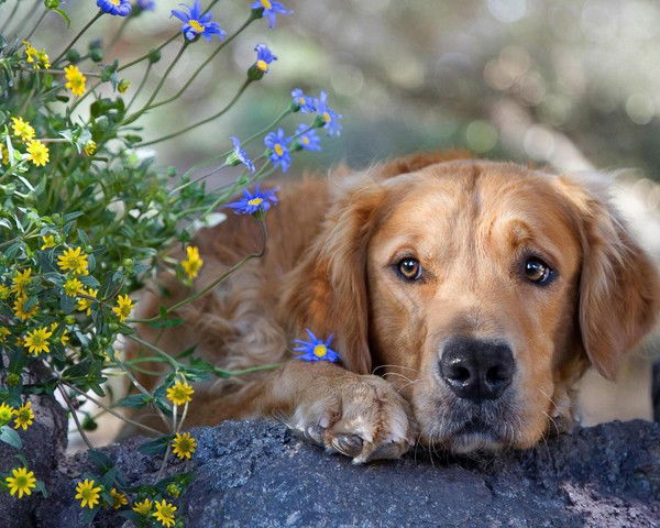 Кайрат Каблашев