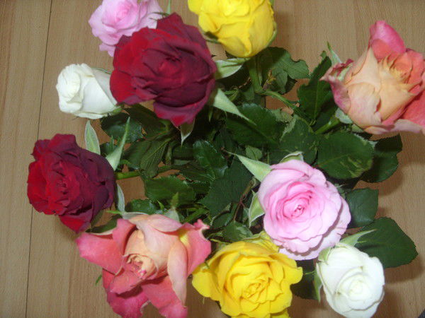 Елена Винтер