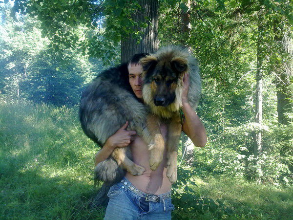 Иван Истомин