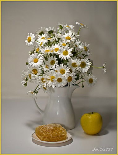 Роман Таранов