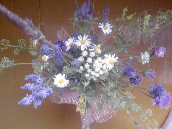 Зимфира Шишвалеева