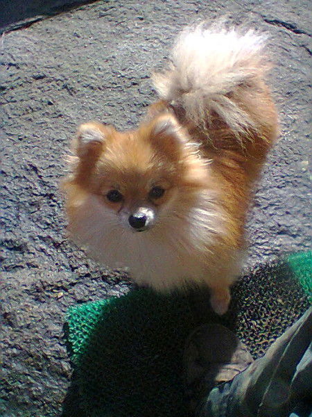 Вячеслав Кайгородов