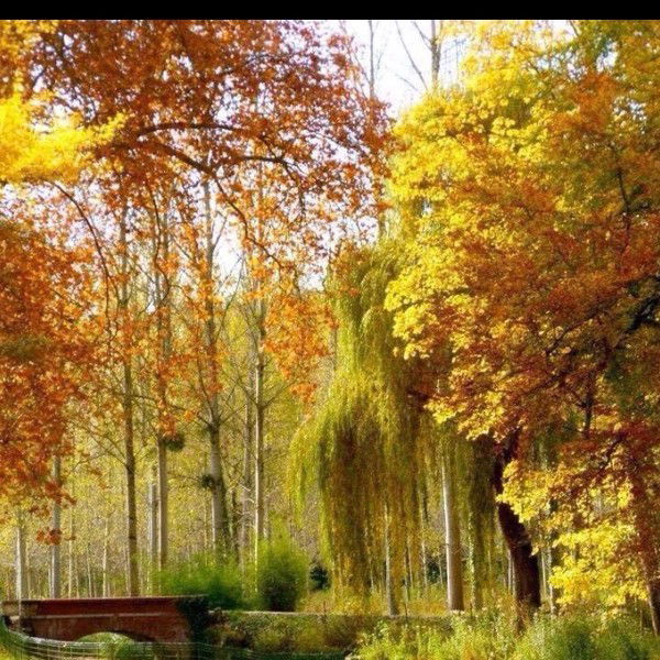 Таня Макаренко