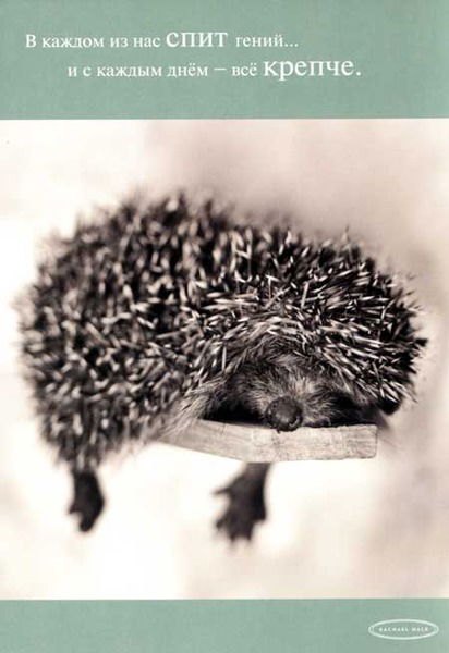 Александр Павлов