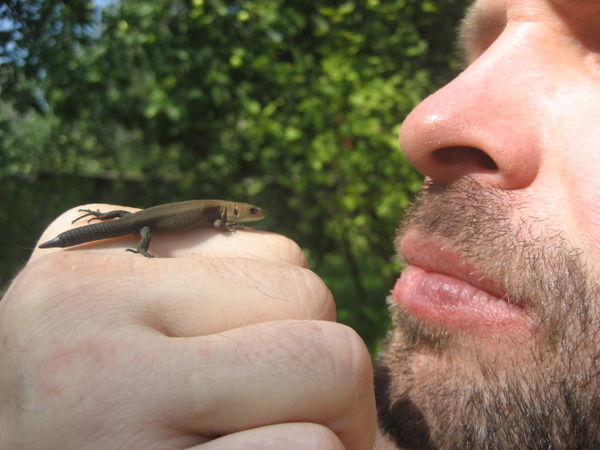 Дмитрий Анод