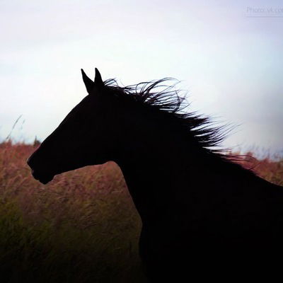 Марина Баринова