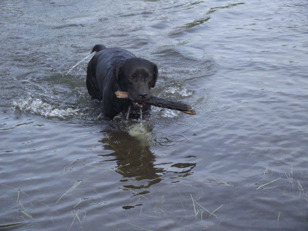 Татьяна Макарушина