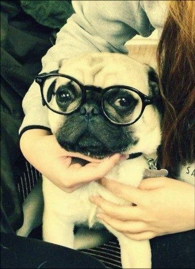 Дима Горенко