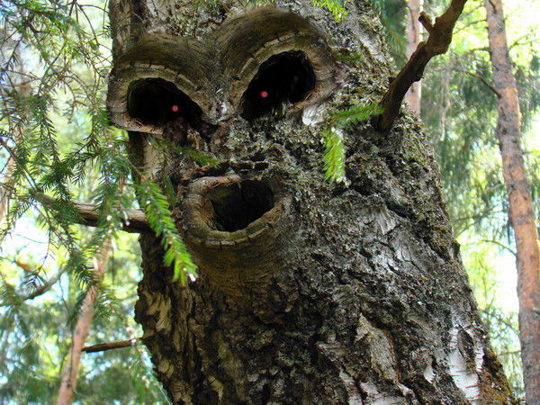 Влад Старый