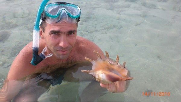 Вадим Онойко