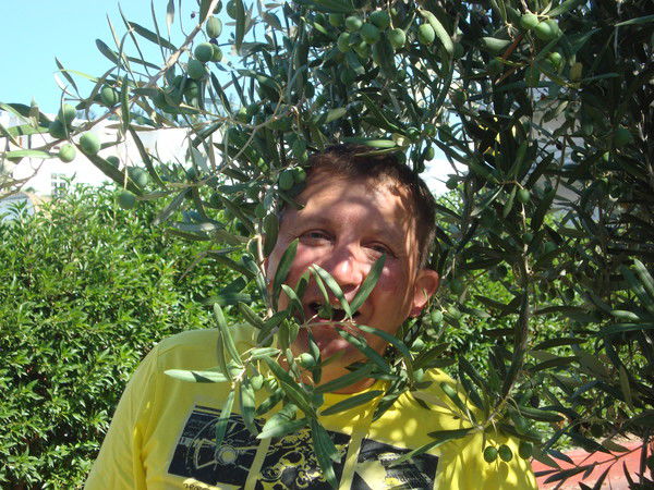 Николай Волгин