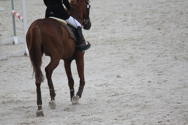 Татьяна Колесниченко