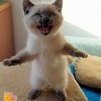 Ваня Суханов