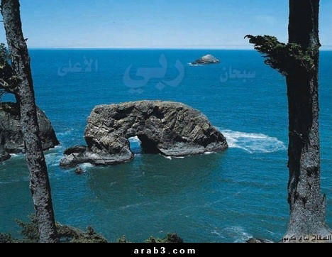 Артыков З.м.