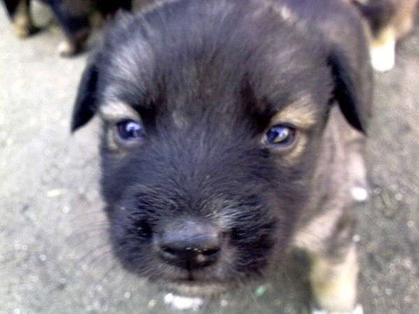 Аскат Ормонкулов