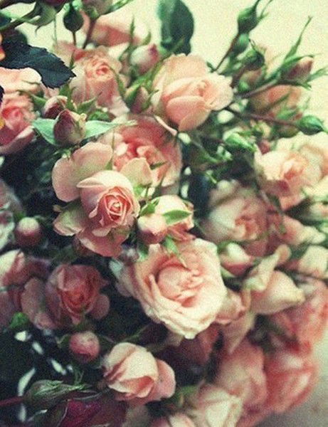 Анна Тезикова