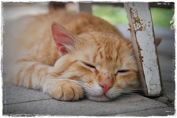 Наталия Володина